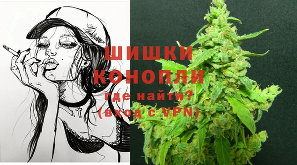 бошки Иннополис
