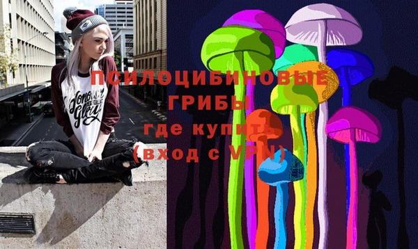марки lsd Инсар