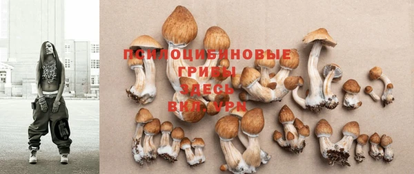 марки lsd Инсар